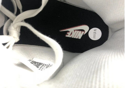 Dunk DD1399-100 Nike (2021) Retro White High Grey Vast 0101